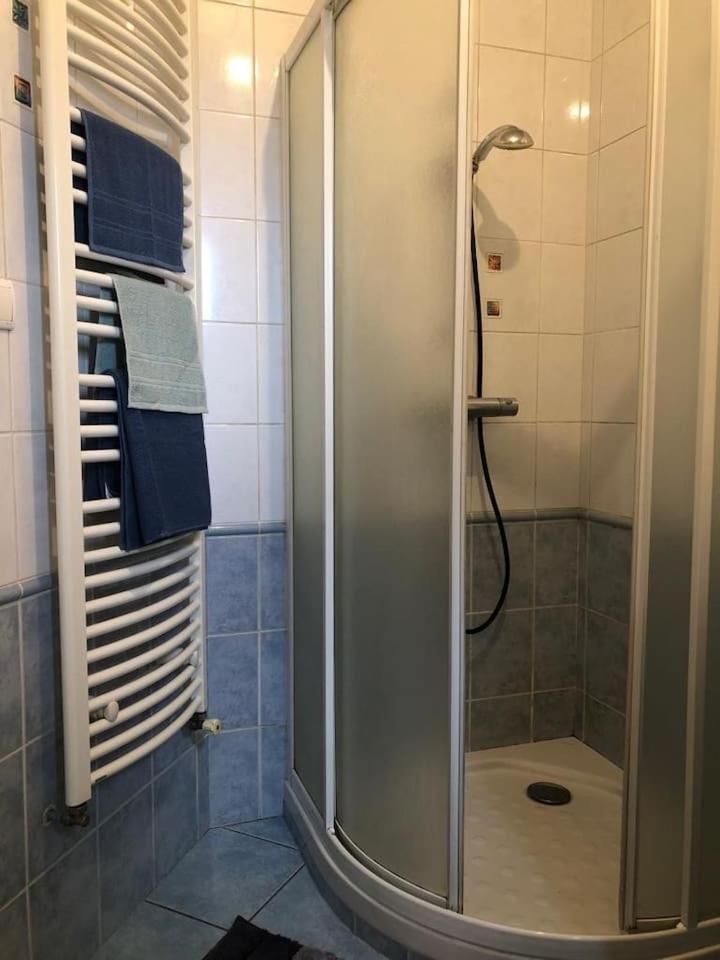 Appartement Cosy Сент-Этьен Экстерьер фото